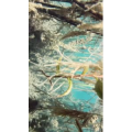 泸沽湖畔43