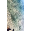 泸沽湖畔45