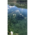 泸沽湖畔61