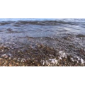 泸沽湖畔86