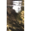 泸沽湖畔91