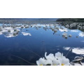 泸沽湖畔103