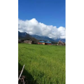 旅游风景17