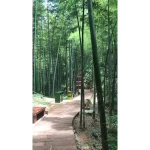 旅游风景22