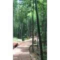 旅游风景22