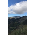 旅游风景25
