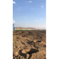 旅游风景66