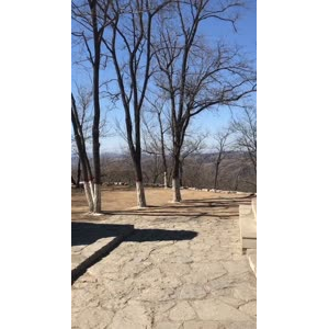 旅游风景71