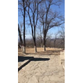 旅游风景71