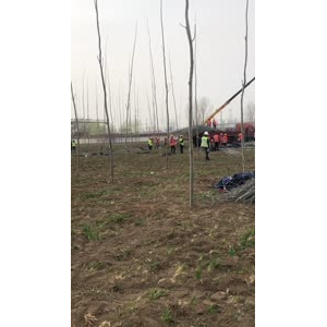 旅游风景78