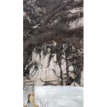 旅游风景79