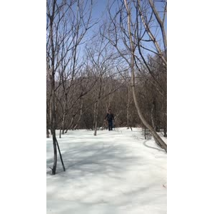 旅游风景82
