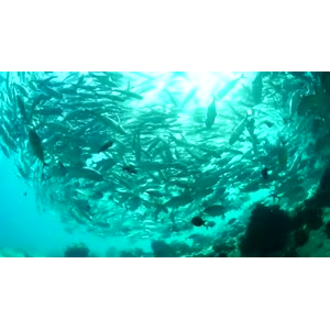 旅游风景87
