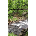 旅游风景101