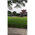 旅游风景106