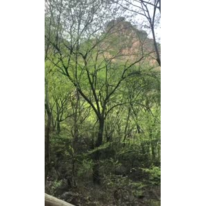 旅游风景114