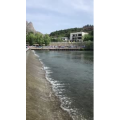 旅游风景126