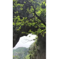 旅游风景138