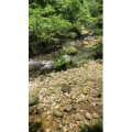 旅游风景154