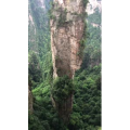 旅游风景155