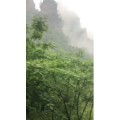旅游风景156