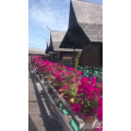 旅游风景164
