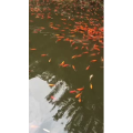 旅游风景167