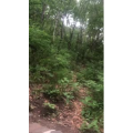 旅游风景169