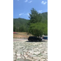 旅游风景176