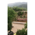 旅游风景182