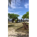 旅游风景195