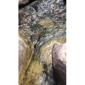 旅游风景198