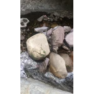 旅游风景202
