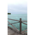 旅游风景218