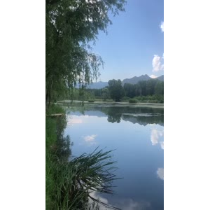 旅游风景229