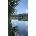 旅游风景229