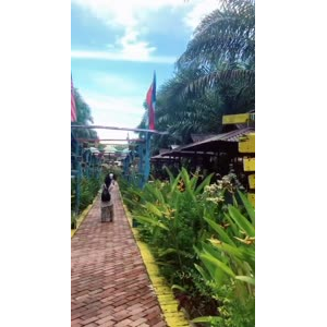旅游风景237