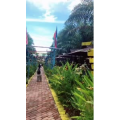 旅游风景237