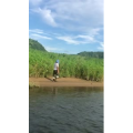 旅游风景247