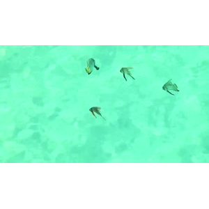 旅游风景270