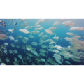 旅游风景281