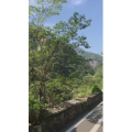旅游风景292