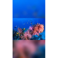 旅游风景302