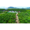 旅游风景304