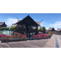 旅游风景318