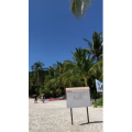 旅游风景320