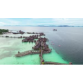 旅游风景341