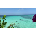 旅游风景343