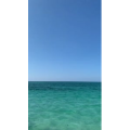 旅游风景344