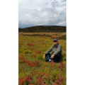 旅游风景353